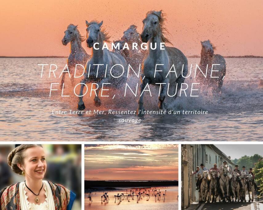 L'Etang De L'Or *Joli T2 * Plage A 10 Min * Proche Montpellier Карнон Плаж Екстериор снимка