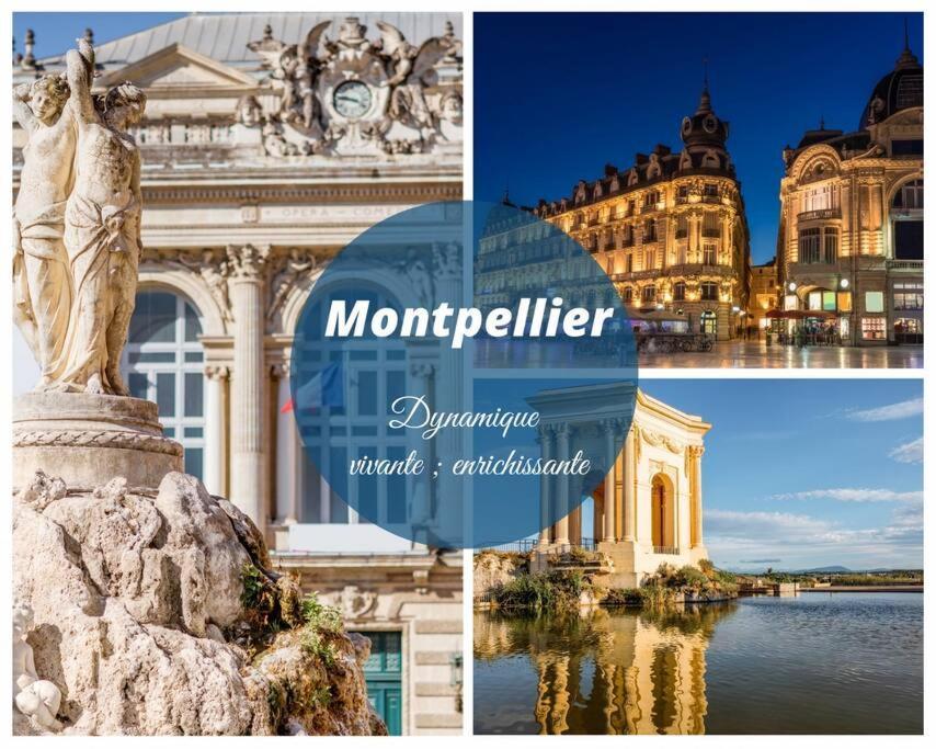 L'Etang De L'Or *Joli T2 * Plage A 10 Min * Proche Montpellier Карнон Плаж Екстериор снимка